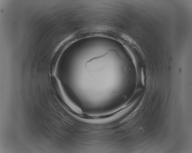 X0000083571210200702091045