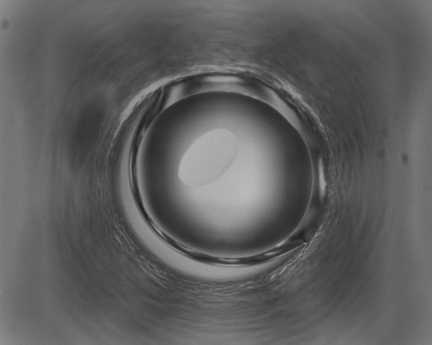 X0000083571214200702091045