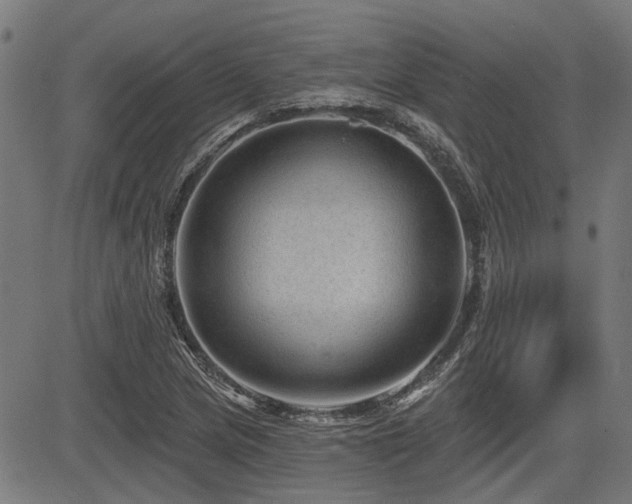 X0000083571217200702091045