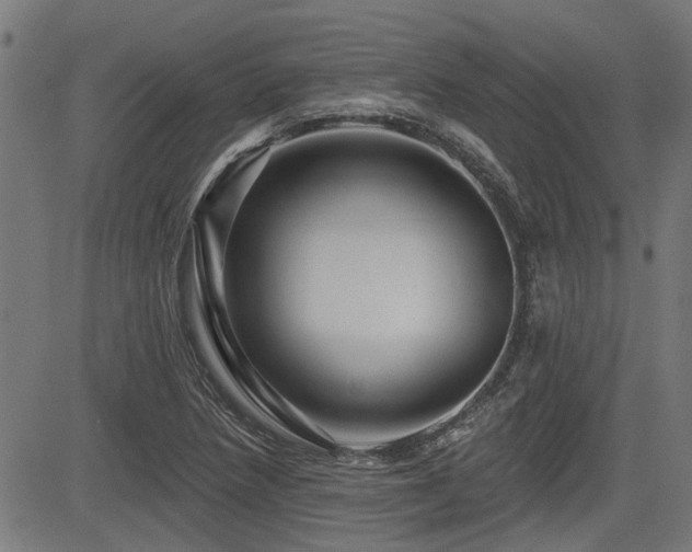 X0000083571218200702091045
