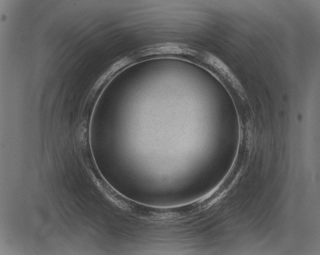 X0000083571225200702091045