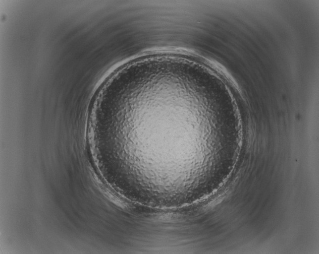 X0000083571228200702091045