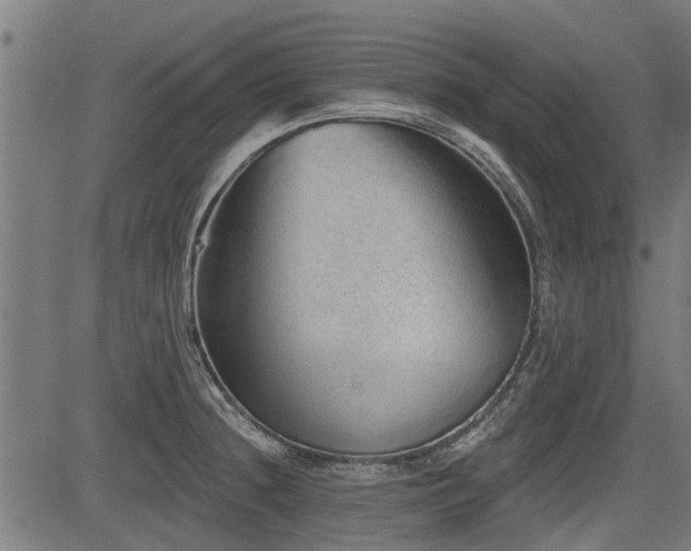 X0000083571236200702091045