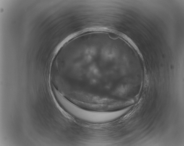X0000083571245200702091045