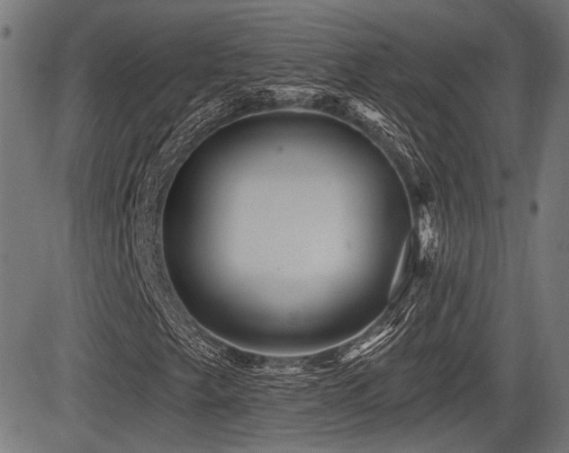 X0000083571249200702091045