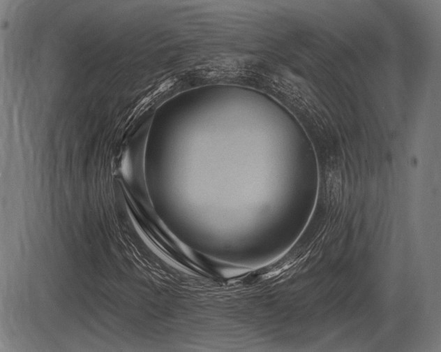 X0000083571250200702091045