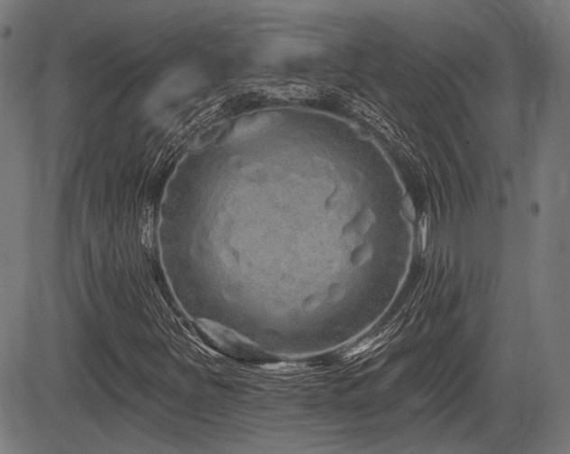 X0000083571251200702091045