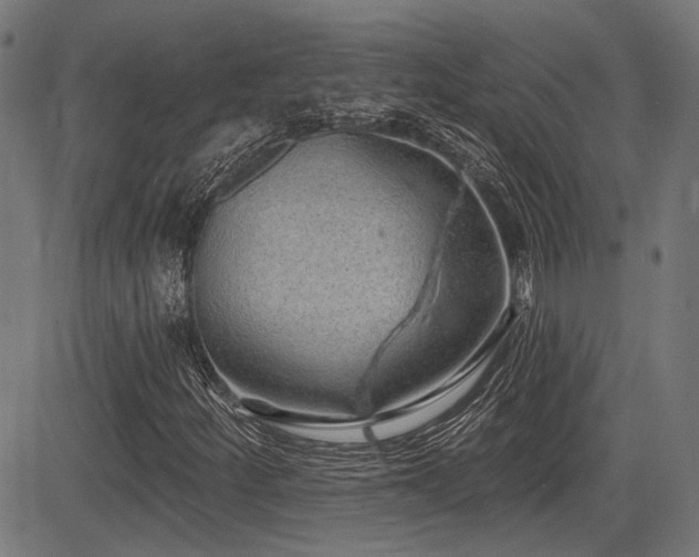 X0000083571252200702091045