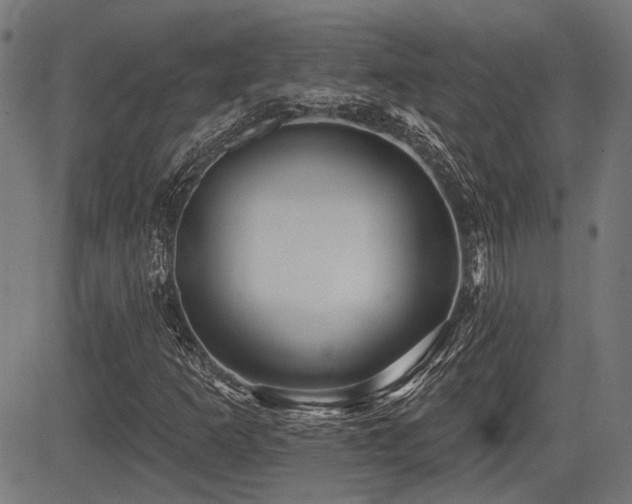 X0000083571253200702091045
