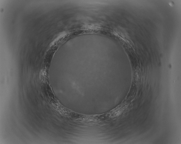X0000083571254200702091045