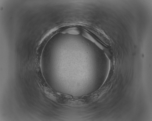 X0000083571256200702091045