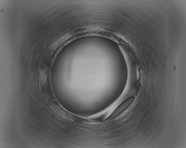 X0000083571257200702091045