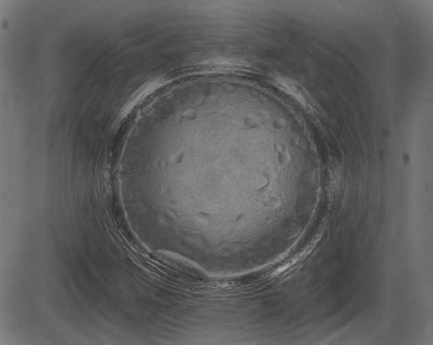 X0000083571259200702091045