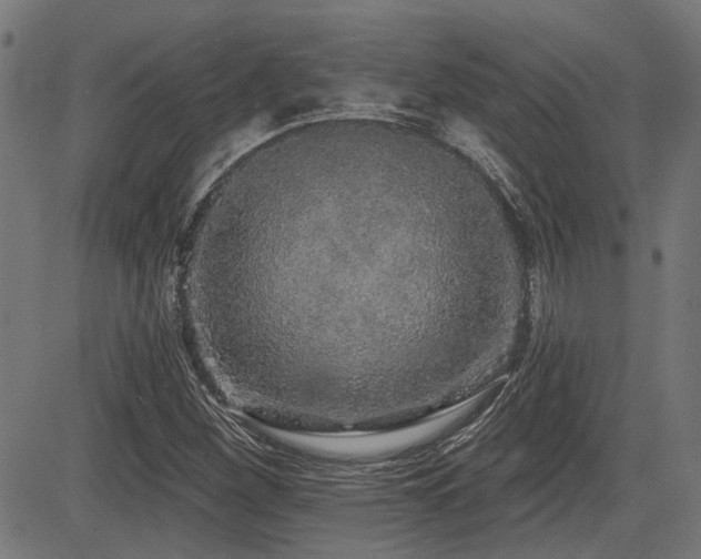 X0000083571260200702091045
