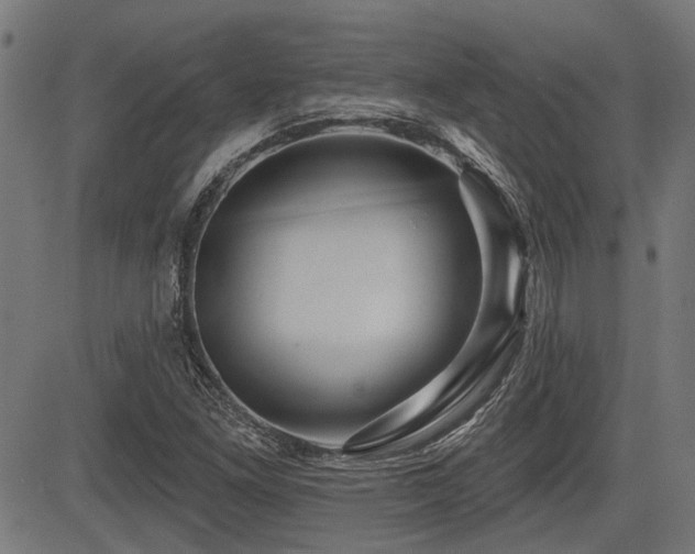 X0000083571261200702091045