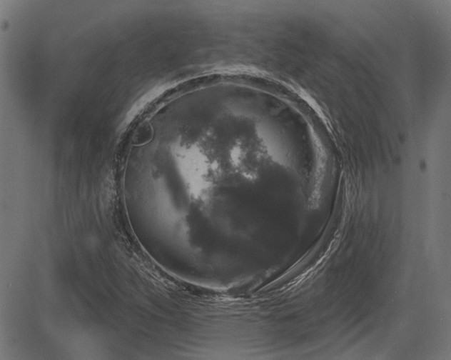 X0000083571263200702091044