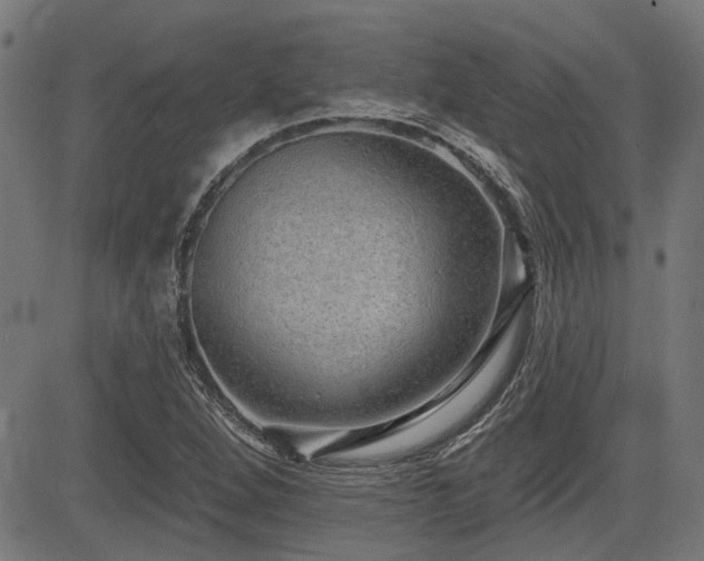 X0000083571264200702091044