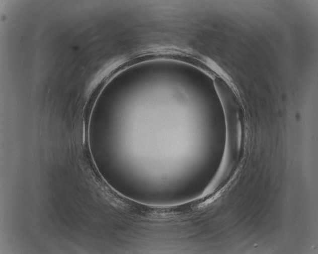 X0000083571269200702091044