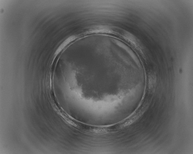X0000083571274200702091044