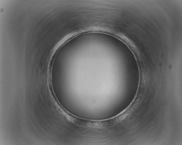 X0000083571286200702091044