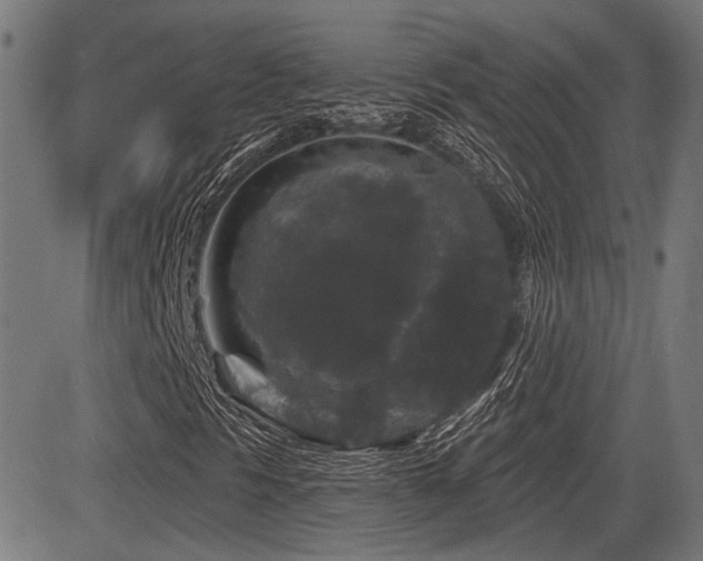 X0000083571297200702091043