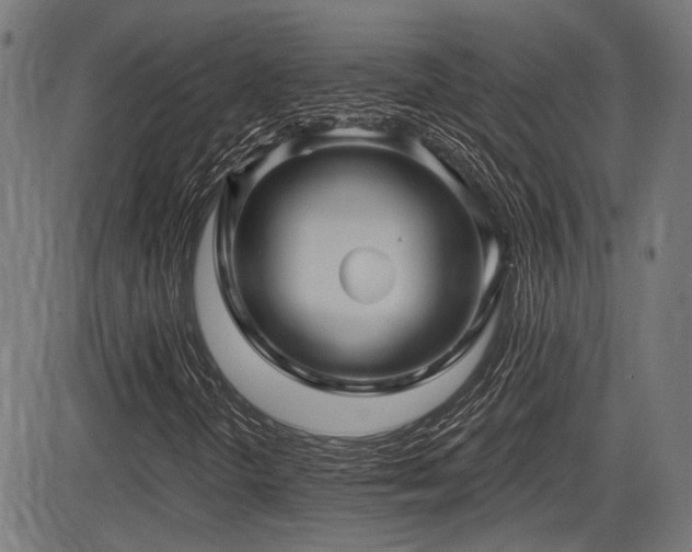 X0000083571298200702091043