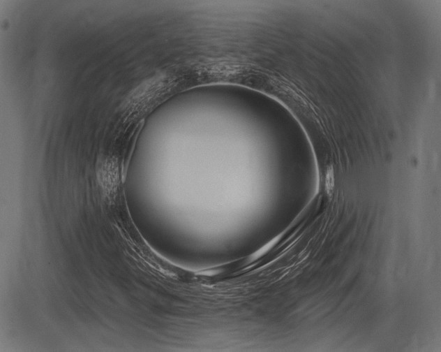 X0000083571299200702091043