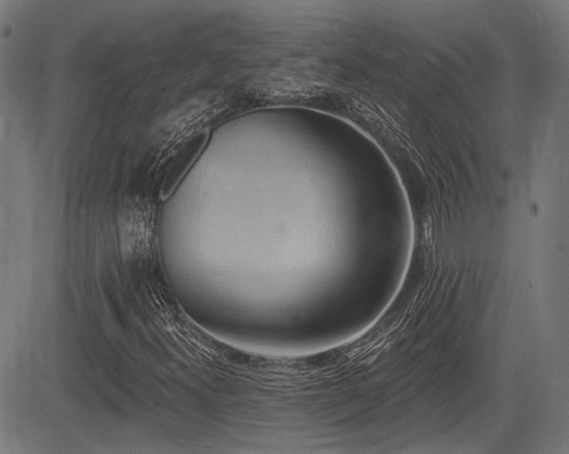 X0000083571300200702091043