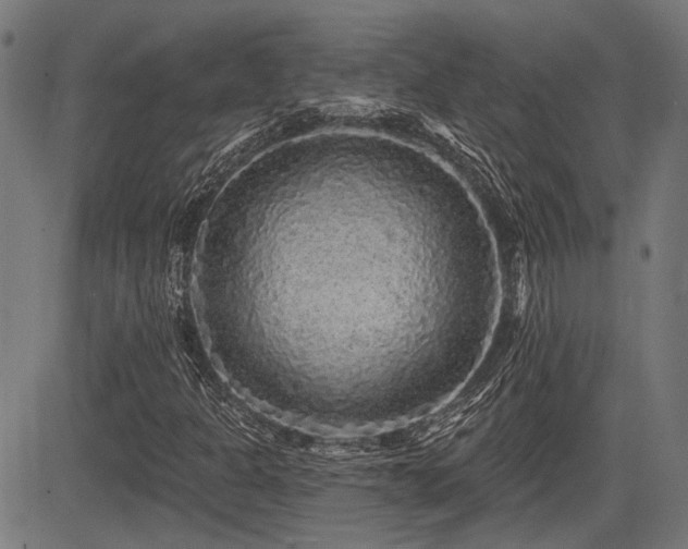 X0000083571301200702091043