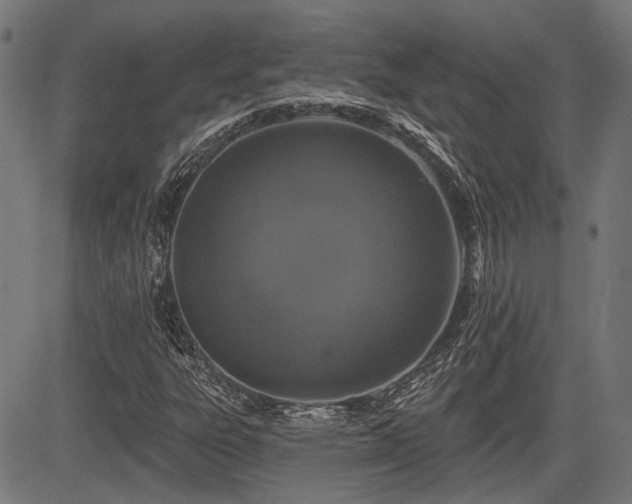 X0000083571303200702091043