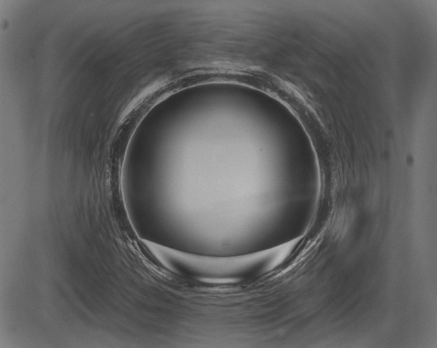 X0000083571307200702091043