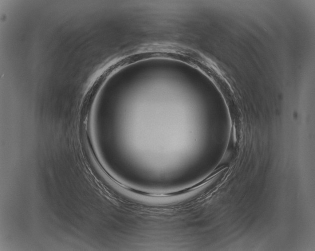 X0000083571312200702091043