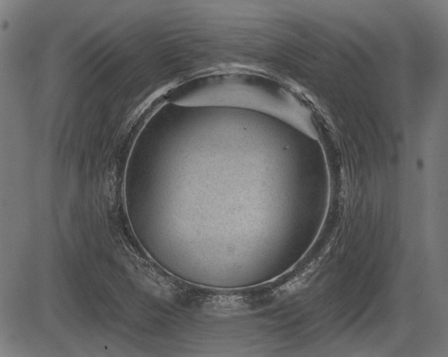 X0000083571313200702091043