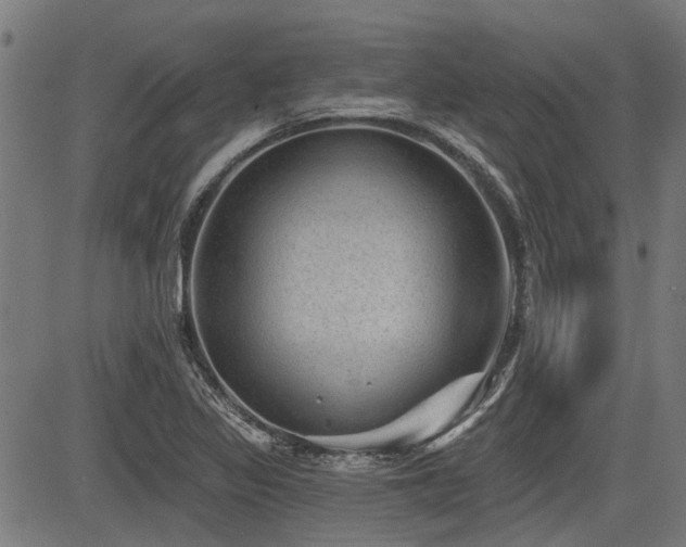 X0000083571317200702091043