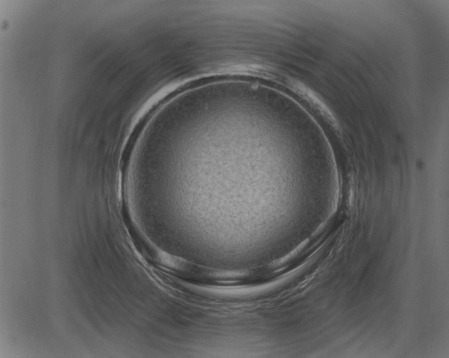 X0000083571324200702091044