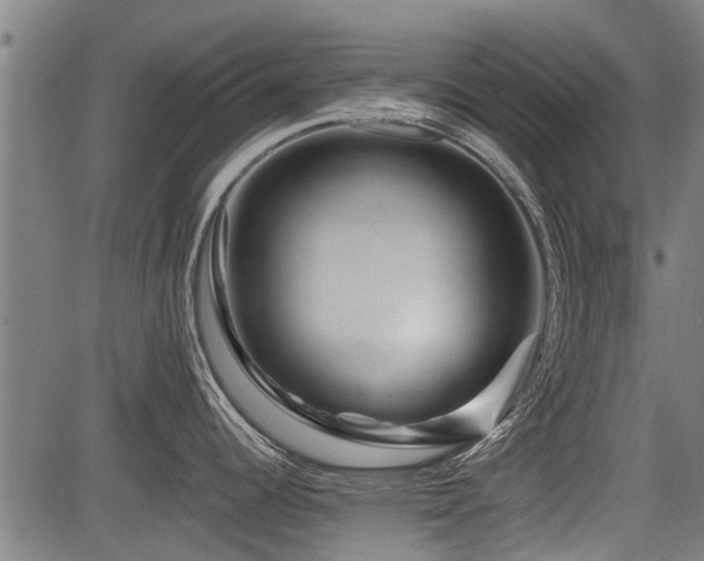 X0000083571344200702091044