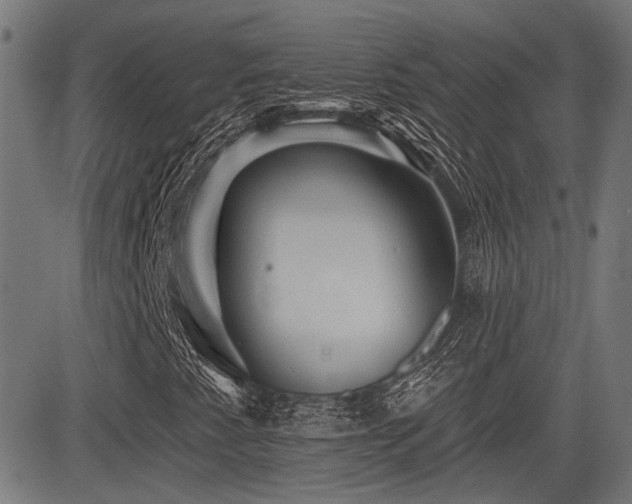 X0000083571345200702091043