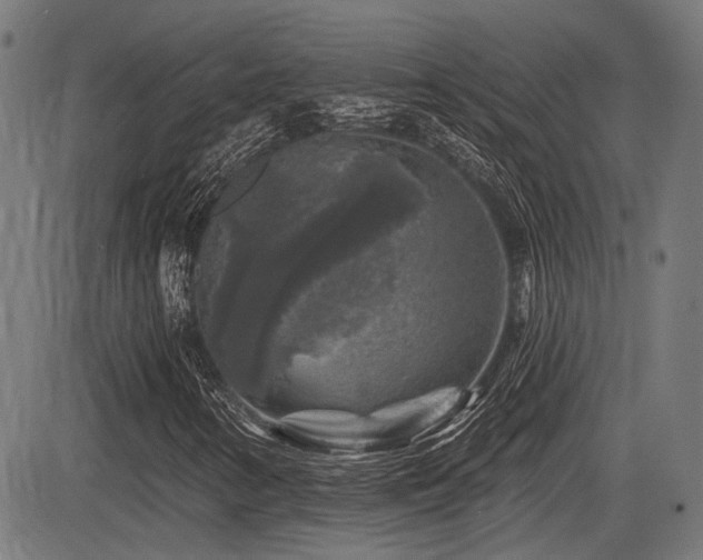 X0000083571346200702091043