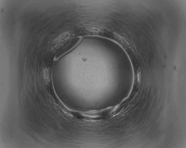X0000083571347200702091043