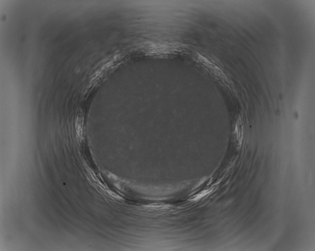 X0000083571348200702091043
