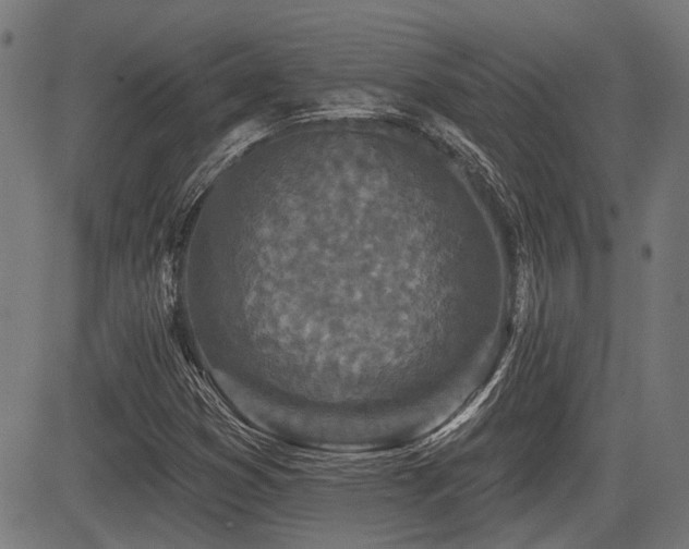 X0000083571353200702091043