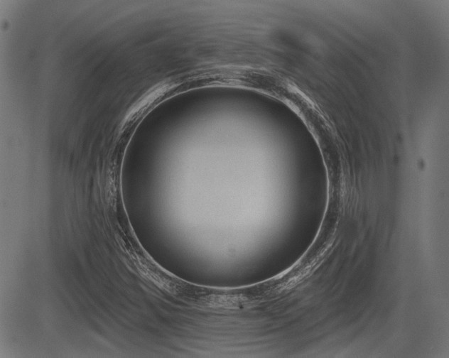 X0000083571354200702091043