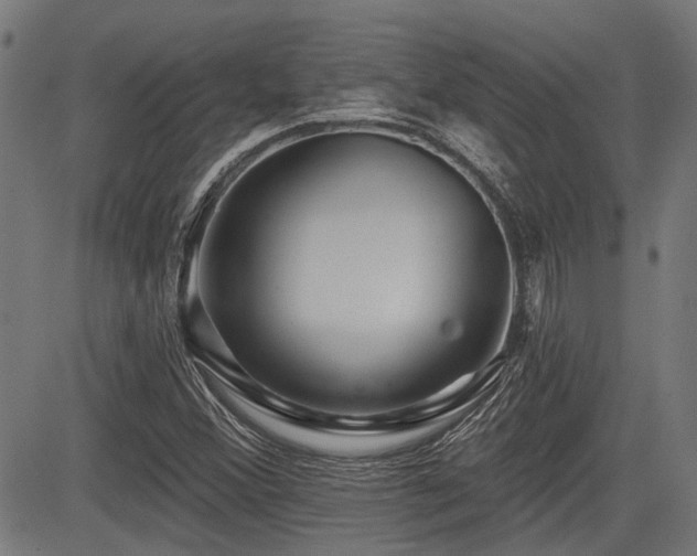 X0000083571356200702091043