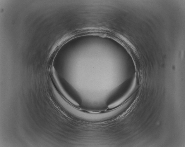 X0000083571357200702091043