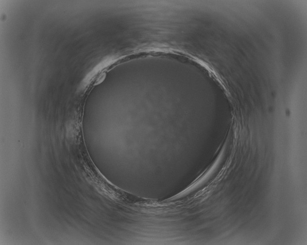 X0000083571359200702091043