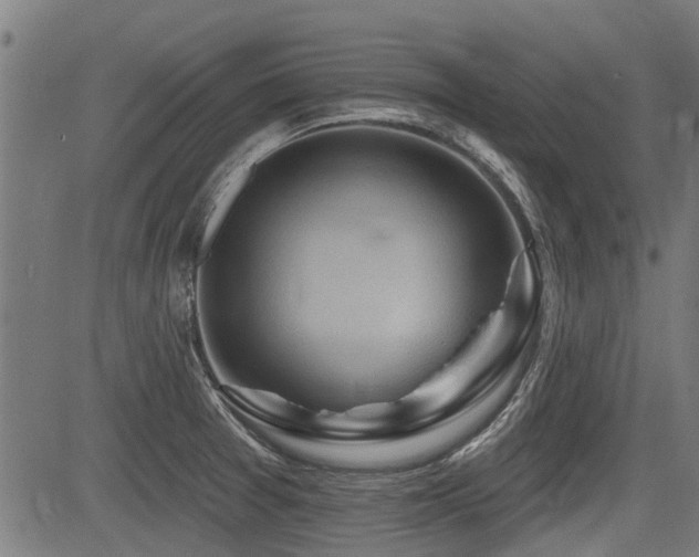 X0000083571377200702091043