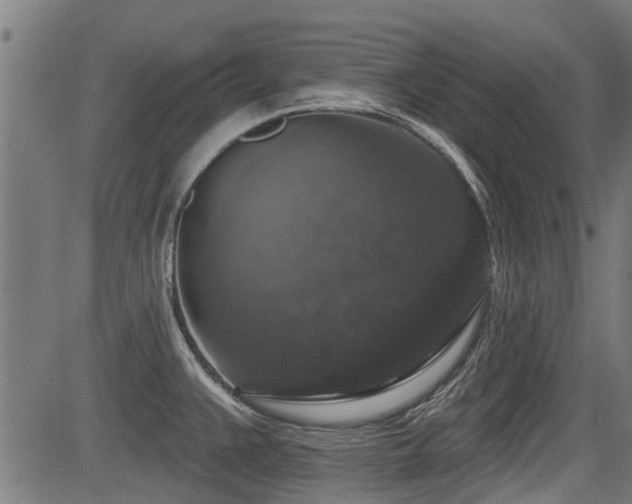 X0000083571383200702091043
