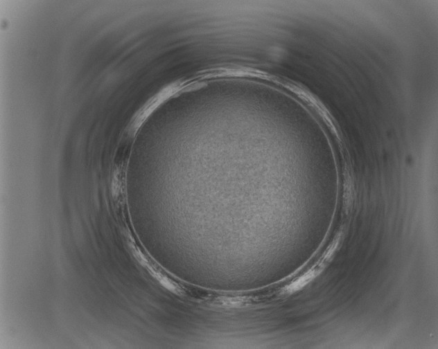 X0000083571385200702091043