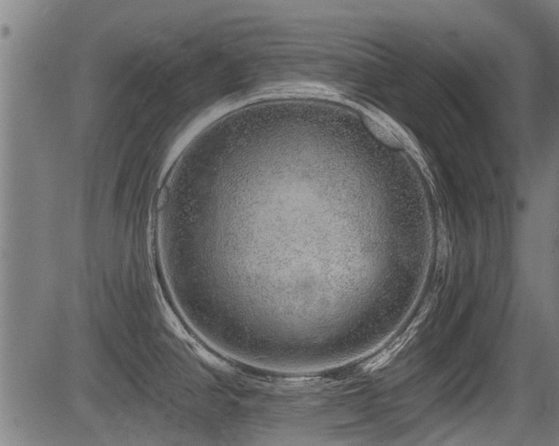 X0000083571390200702091042