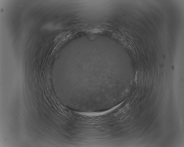 X0000083571393200702091042